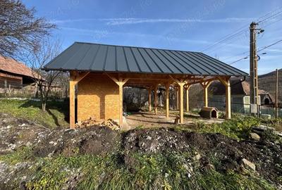 Casă cu Teren 2700 Mp în Livada (Petreștii de Jos) - 5