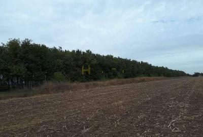 Teren agricol intravilan de 400 mp, în Gruiu - 2