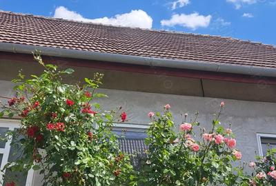 Vand Proprietate ( 2 case+ teren) in Parta, zona centrala - 3