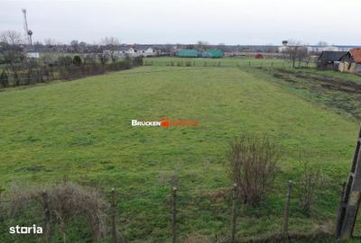 Spațiu comercial, în Leș - 2