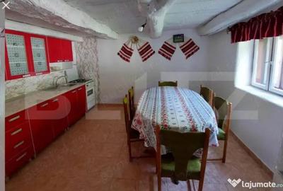 Casă cu 3 camere cu Teren 2800 Mp în Întregalde - 7