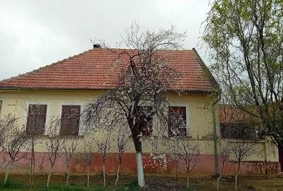 Casă cu Teren 1813 Mp în Hitiaș - 2