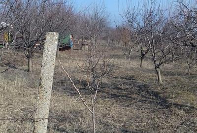 Teren de 2300 mp, în Blidari (Cârligele) - 2