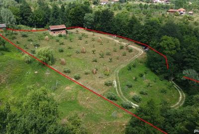 Teren de vanzare in comuna Cicane?ti, sat Bara?ti, Judet Arges. - 1