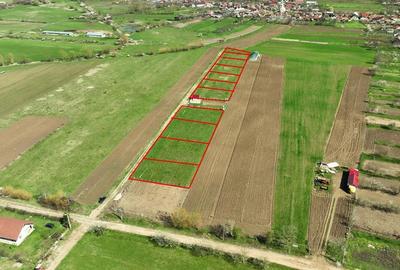 Teren Construcții intravilan de 600 mp, în Ineu - 2