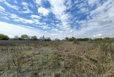 Teren Construcții intravilan de 5000 mp, în Pârneava - 2