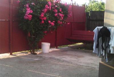 Casă cu 3 camere cu Teren 200 Mp în Lacu Dulce - 1