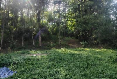 Casa boiereasca vanzare la Urseiu, Dambovita - 2