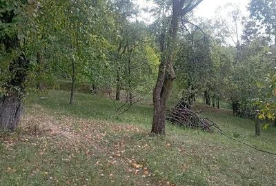 Teren de 9000 mp, în Secăria - 1