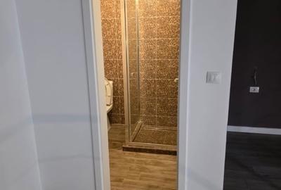 Apartament o camera , ultracentral Iasi - 7
