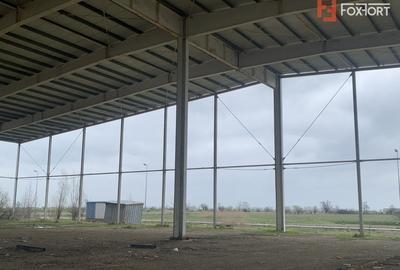 COMISION 0% Hala industriala 5500 mp utili zona de Nord Timisoara - ID V5143 COMISION 0% Hala industriala 5500 mp utili zona de Nord Timisoara - ID V5143 - 3