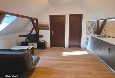 Apartament Central Odobescu/Sinaia 2 camere Proprietar - 11