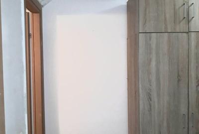 Colentina Rau, Mc Donalds, Mr. Bacila, Parc Plumbuita, stradal - 8