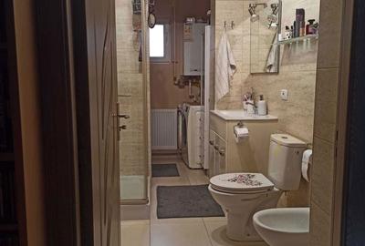 Apartament cu 2 camere decomandat în Găzărie - 8