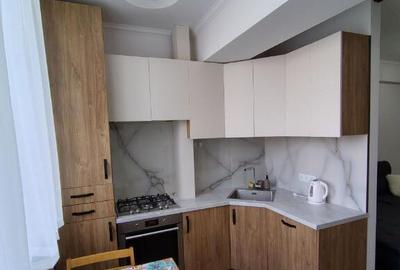 Apartament cu 2 camere de inchiriat in zona Aviatiei - 2