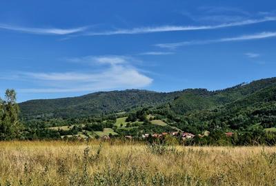 Teren superb in zona Fagaras, ideal pentru vacanta/Comision 0% - 2
