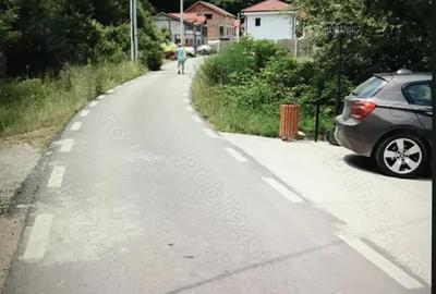 Teren de 3000 mp, în Dubova - 2