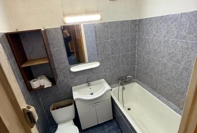 Drumul Taberei- Raul Doamnei - 4