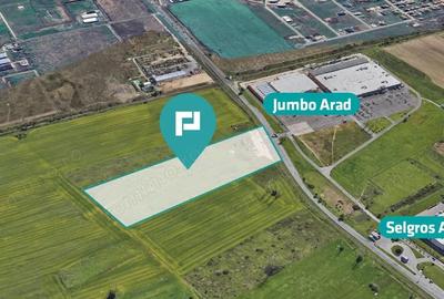 Teren de 55.340 mp, vis-a-vis de Jumbo, Arad Teren de 55.340 mp, vis-a-vis de Jumbo, Arad - 3