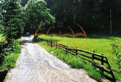 TEREN DE VANZARE IN VARSAG HARGHITA - 7