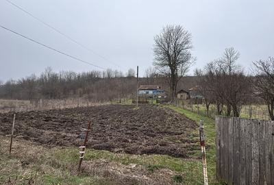 Teren Construcții intravilan de 2038 mp, în Ghercești - 1