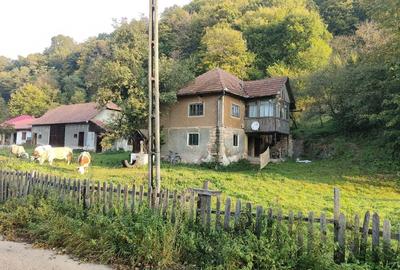 Casă cu 4 camere cu Teren 7000 Mp în Almașu Mare - 8