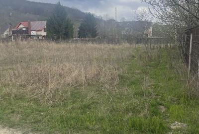 Teren de 700 mp, în Hemeiuș - 3