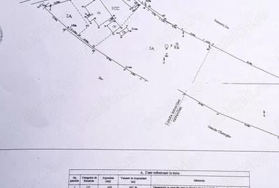 Teren 4.443 mp intravilan + extravilan | Nicolae Balcescu Ple?oiu, jud Valcea - 10