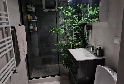 Apartament cu 3 camere semidecomandat în Lujerului - 8