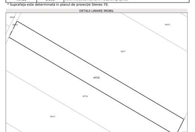 Teren în Alexandriei - 3