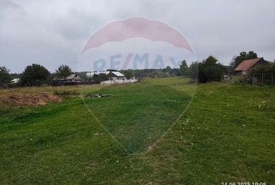 Teren Construcții intravilan de 5000 mp, în Călugăreni - 4