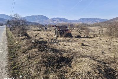 Teren de 2214 mp, în Livezile - 2