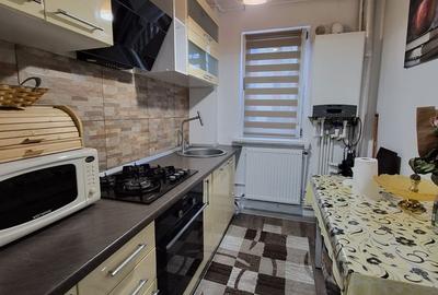 Apartament cu 2 camere semidecomandat în Craiovița Nouă - 7