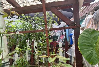 Bocsa Montana Casa 4 camere - 17