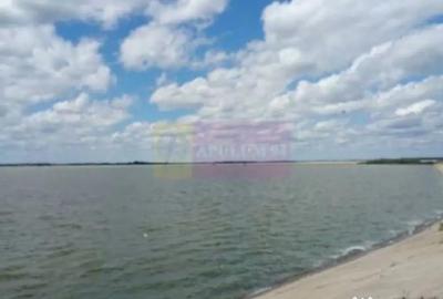 Teren de 131935 mp, în Est - 8