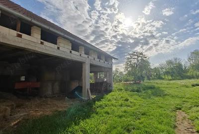 Casă cu 6 camere în Finiș - 3