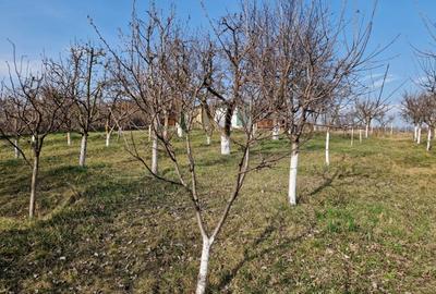 Teren Construcții intravilan de 1059 mp, în Roman - 4