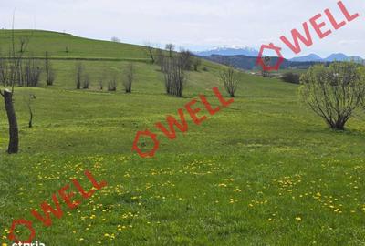 Spațiu comercial, în Sărămaș - 5