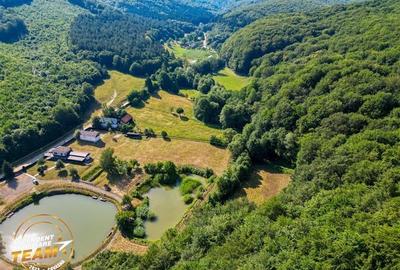 FILM! Teren extravilan pe 2.737mp,zona pretioasa,acces facil,Dobarlau,Covasna - 4