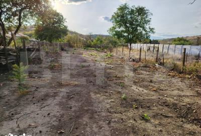 Casă cu 2 camere cu Teren 822 Mp în Central - 4