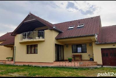 Casă cu 7 camere cu Teren 9800 Mp în Șintereag - 7