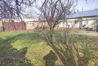 Teren Generos de 1160 mp cu Potențial  în Afumați – Deschidere Stradala 26m - 5
