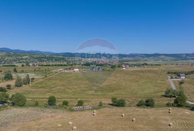 Teren Bran -Sohodol, Strada La mesteceni, 6900mp Teren Bran -Sohodol, Strada La mesteceni, 6900mp - 7