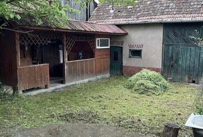 Casă cu Teren 1500 Mp în Presaca - 3
