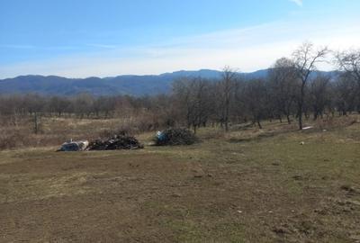 Teren Construcții intravilan de 910 mp, în Poienărei - 1