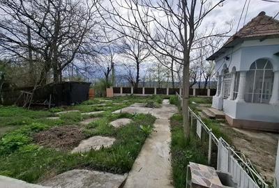 Casă cu 4 camere în Olanu - 1