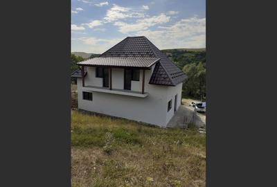House/Villa for sale, 7 Rooms, 250 sqm, 1553 sqm, Giurgiu, România - 3