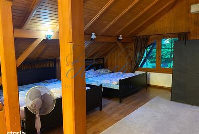Casă cu 5 camere cu Teren 3000 Mp în Făget - 8