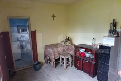 Casa renovabila ,spatioasa,cu un teren generos si gradina in - 11