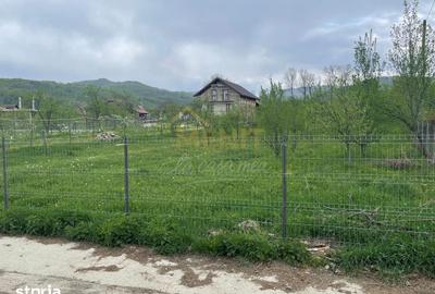 Teren de 4057 mp, în Aluniș - 3